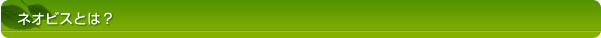 ネオビスとは？