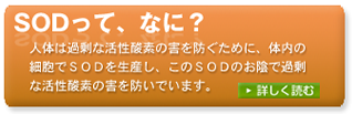 ＳＯＤって、なに？