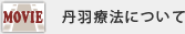 丹羽療法について