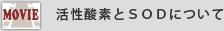 活性酸素とＳＯＤについて